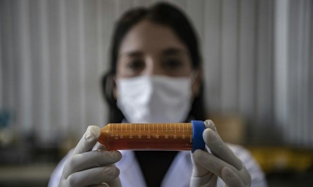 Chilean scientist plans to clean up mining with 'metal eating' bacteria