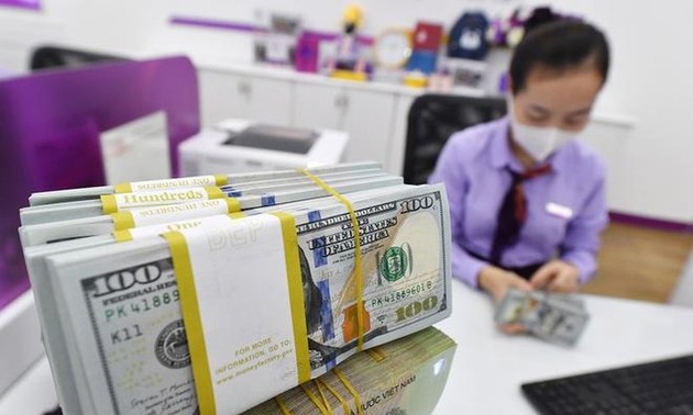 Remittances sent to Vietnam estimated at 12.5 billion USD in 2021