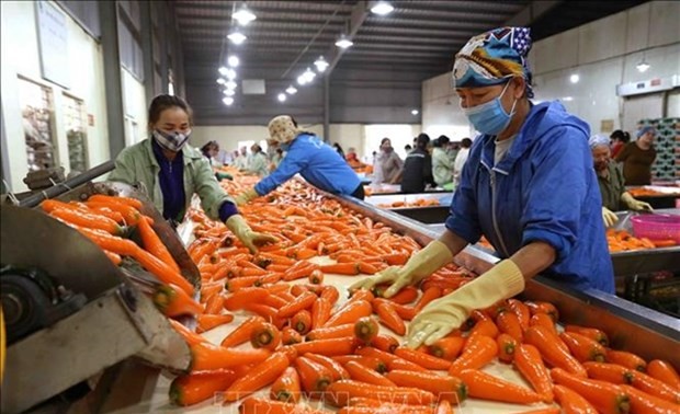 Vietnam aims to be one of top ten global farm produce processors