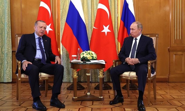 Turkish President meets with President Putin in Sochi 