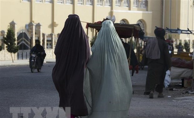 EU expresses concern after Taliban's crackdown on women's rally