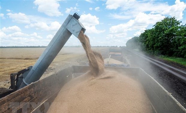 UN urges that more grain be shifted from Ukraine's silos