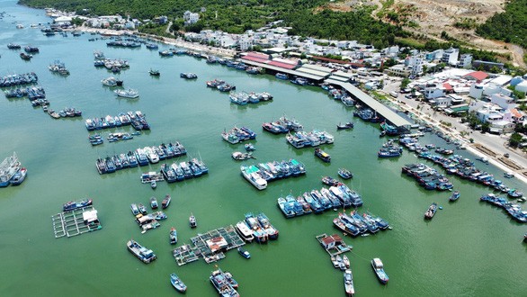 EC team inspect Khanh Hoa’s prevention of IUU fishing