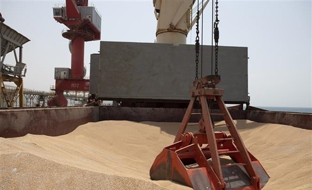 Russia suspends its participation in UN-brokered grain export deal with Ukraine