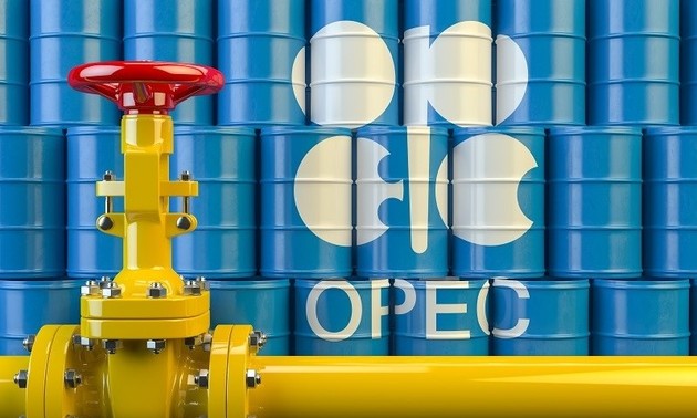 OPEC+ keeps output target unchanged amid market uncertainties