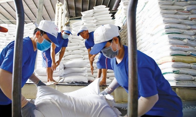 Rice exports set for major breakthroughs in 2023