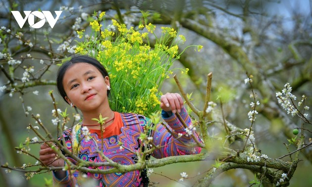 Photos capture beauty of children of Moc Chau Plateau