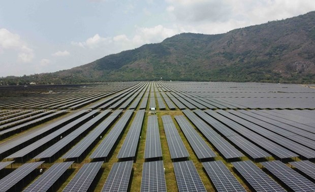 Агентство Bloomberg: во Вьетнаме наблюдается  бум на рынке солнечной энергии