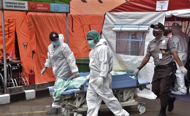 В Индонезии и РФ зафиксировано рекордное количество умерших от коронавируса за день            