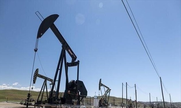 ОПЕК спрогнозировал рост спроса на нефть в 2022 году