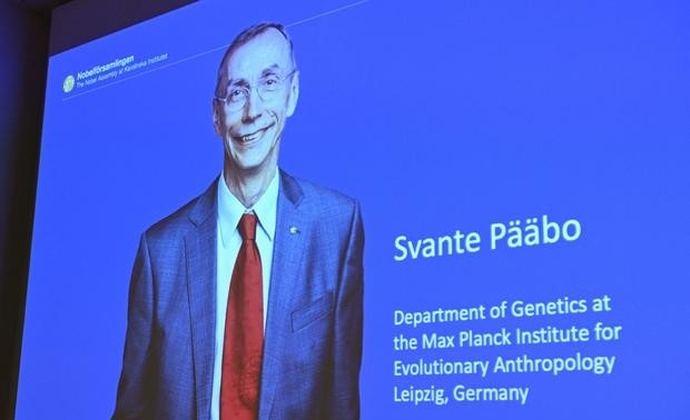 Шведский ученый Сванте Паабо получил нобелевскую премию по физиологии и медицине 2022 года