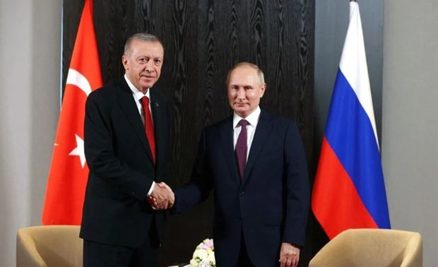 Руководители России и Турции продвигают двухсторонное сотрудничество