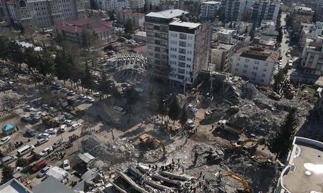 Всемирный банк подсчитал ущерб от землетрясений в Турции 