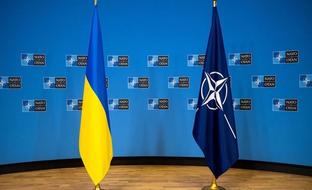 Украину официально приняли в центр по киберобороне НАТО
