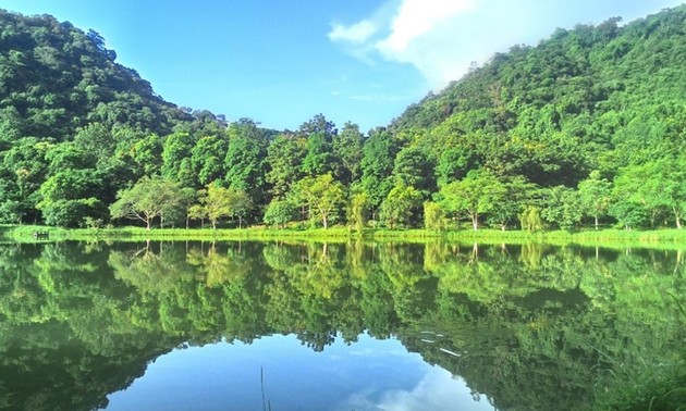 Кукфыонг – «Ведущий национальный парк в Азии»