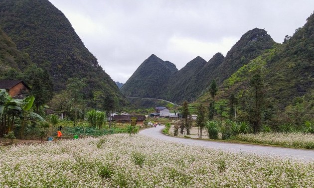Красота каменного плоскогорья Донгван в провинции Хазянг 