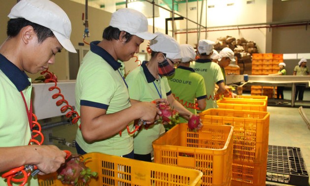 Doanh nghiệp Nhật tìm cơ hội hợp tác đầu tư vào nông sản Việt