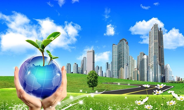 DN phát triển bền vững gắn với kinh tế xanh