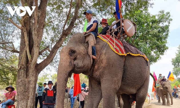 Độc đáo lễ cúng sức khỏe cho voi ở Đắk Lắk