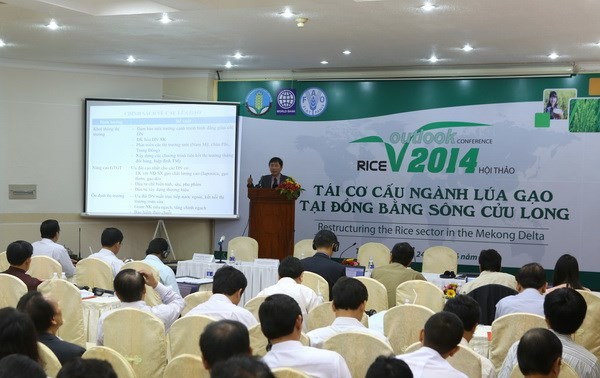 В Кантхо прошёл семинар по реструктуризации рисоводства в районах дельты реки Меконг