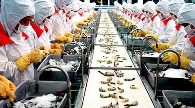 Значительно увеличился экспорт вьетнамских креветок 