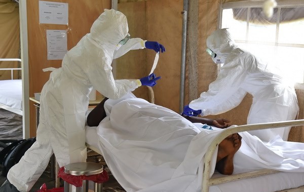 ВОЗ готовит план по борьбе с лихорадкой Эбола 