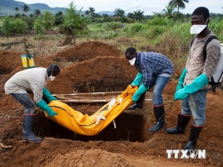 Предотвращение эпидемии лихорадки Эбола: нелегкая задача