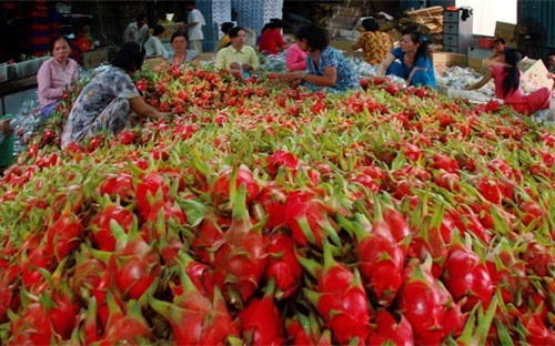 Объем экспорта овощей и фруктов Вьетнама увеличивается