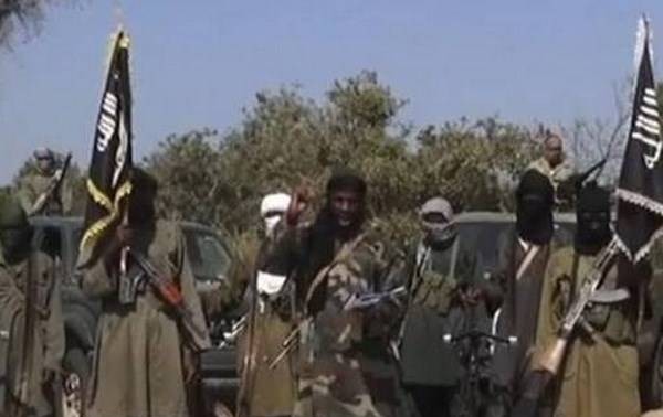 Более 50 человек стали жертвами нападения боевиков "Боко Харам" на деревни в Нигерии 