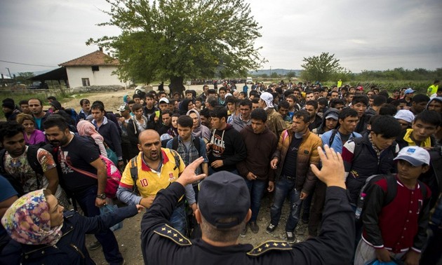 Страны ЕС договорились активизировать депортацию нелегальных мигрантов 