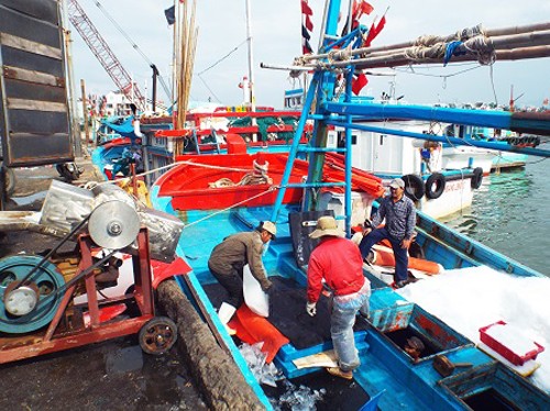 Рыбаки провинции Кханьхоа встретят новый год по лунному календарю в открытом море