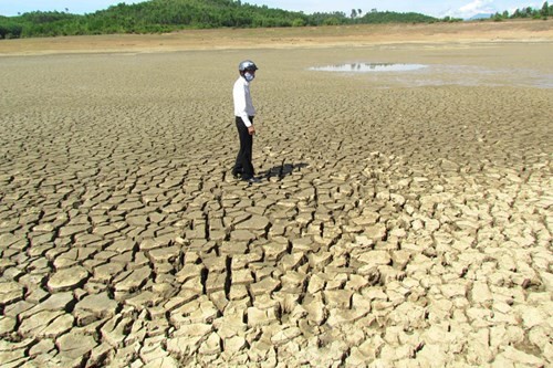 Вьетнам прилагает усилия для борьбы с засухой