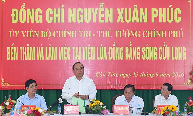 Премьер Вьетнама посетил Институт рисоводства в дельте реки Меконг 