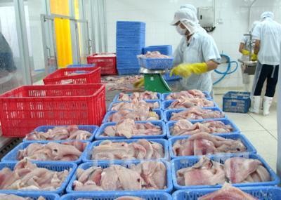 Еще 12 предприятий Вьетнама по переработке бесчешуйчатой рыбы получили разрешение на экспорт в США