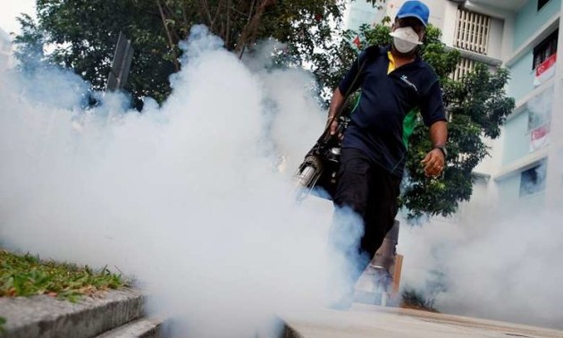 Число заразившихся вирусом Зика в Сингапуре продолжает расти