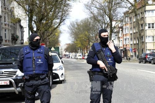 В Бельгии задержали много подростков, планировавших теракты на Рождество