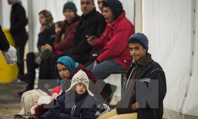 Число мигрантов, прибывших в Европу, резко снизилось в 2016 году 