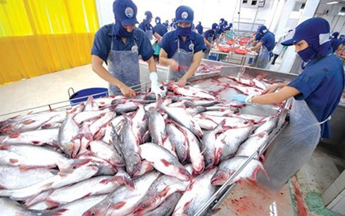 В 2017 году объём экспорта морепродуктов продолжит расти