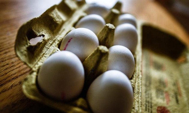 Италия изъяла продукты французской компании, причастной к скандалу с ядовитыми куриными яицами
