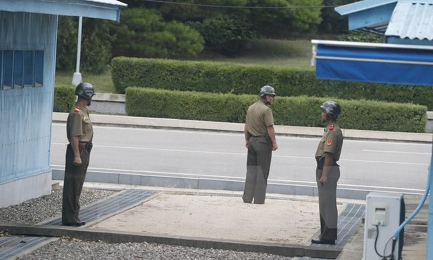 КНДР продолжает критиковать совместные американо-южнокорейские военные учения