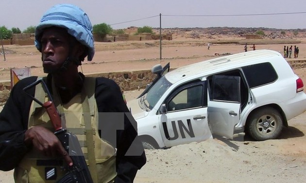 СБ ООН ввёл санкции в отношении лиц, препятствующих мирному процессу в Мали