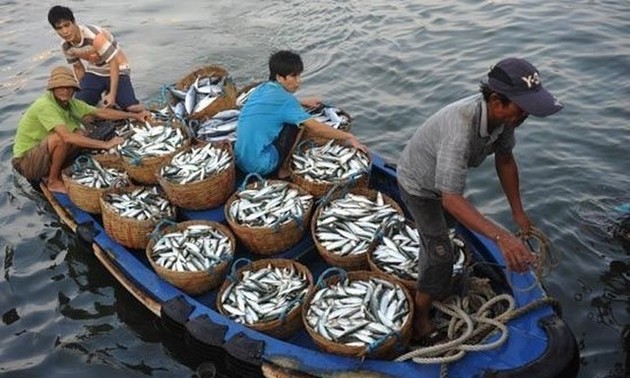 Сотрудничество в управлении рыбным промыслом и охране окружающей среды в Восточном море