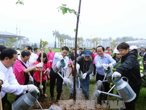 В парке Хоабинь в Ханое высадили 500 новых японских деревьев сакура 