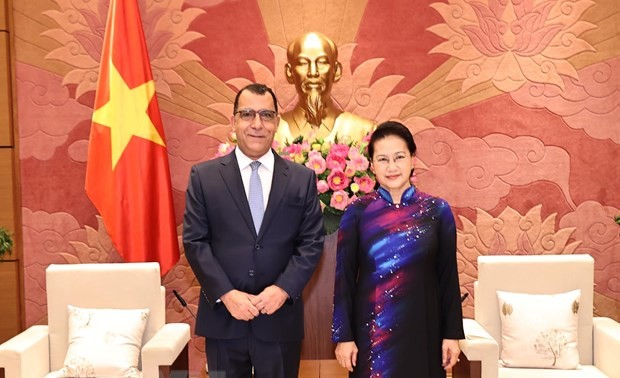 Председатель Нацсобрания Нгуен Тхи Ким Нган приняла послов, завершивших срок своих полномочий во Вьетнаме