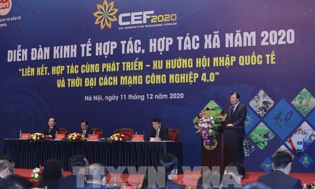 Вьетнам стремится к концу 2025 года создать 10 тысяч новых коллективных экономических организаций 