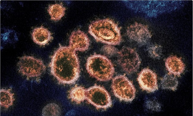 Мировое сообщество опасается появления новой мутации SARS-CoV-2