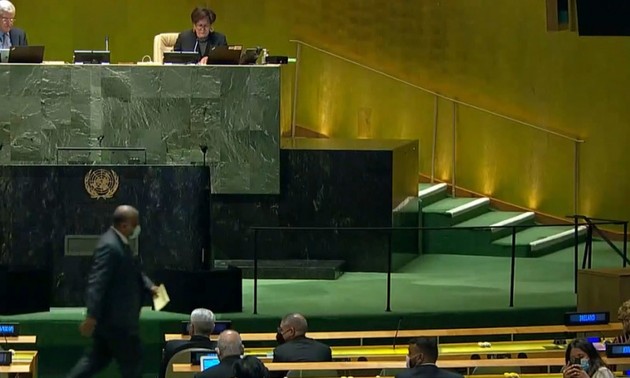Бразилия, ОАЭ, Албания, Гана и Габон стали временными членами Совбеза ООН 