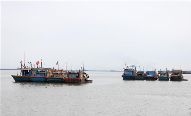 Претворение UNCLOS 1982 в жизнь направлено на превращение Вьетнама в морскую державу