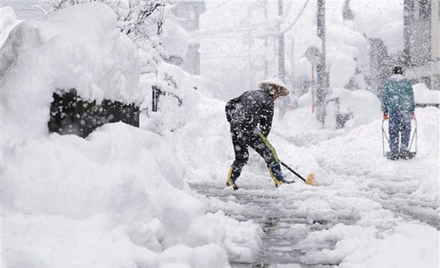 Сотни человек погибли и получили ранения из-за сильных снегопадов в Японии 