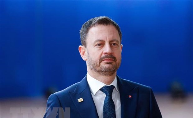 Премьер-министр Словакии заявил о желании подать в отставку